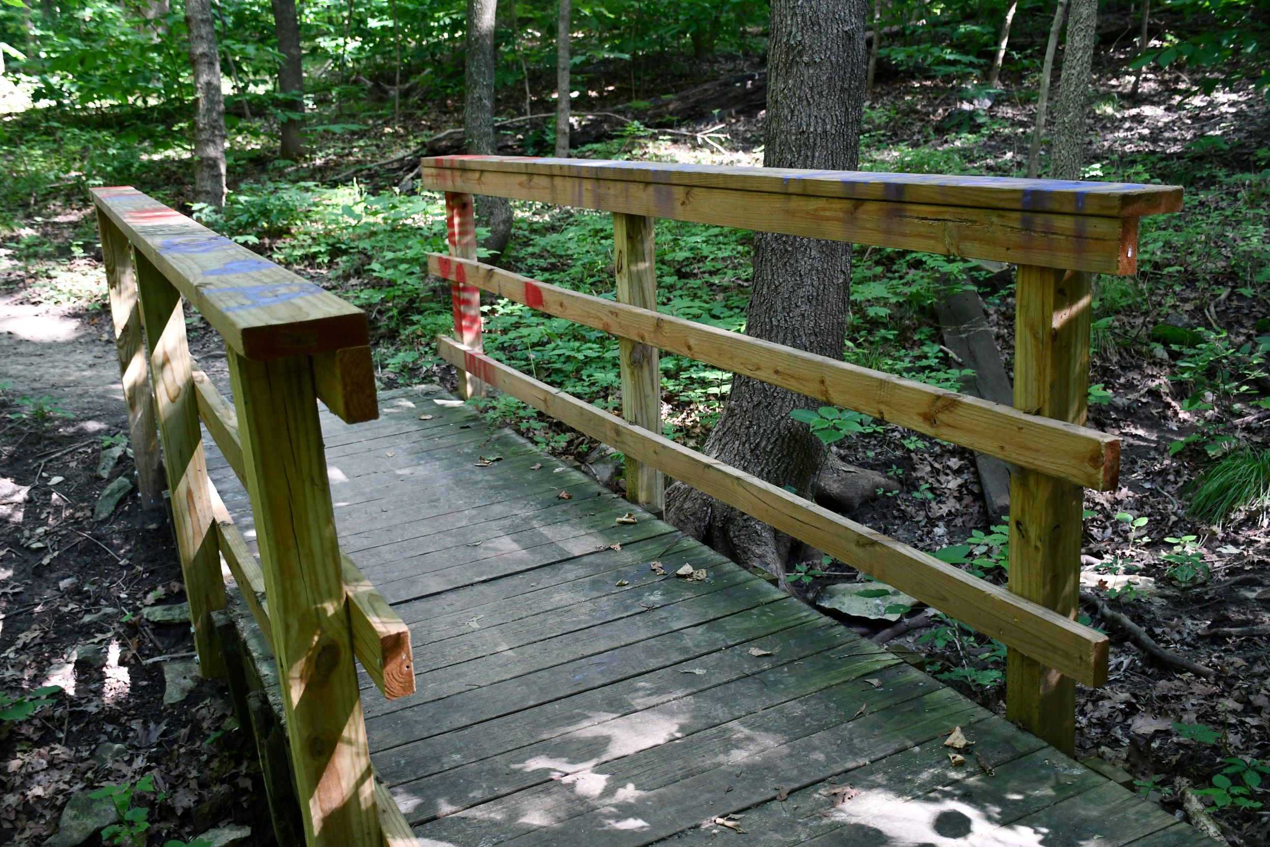 Gladstone Shutterstock 1797754834